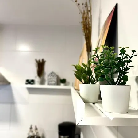 Newmezquita1 Magnificas Vistas A Mezquita Catedral *